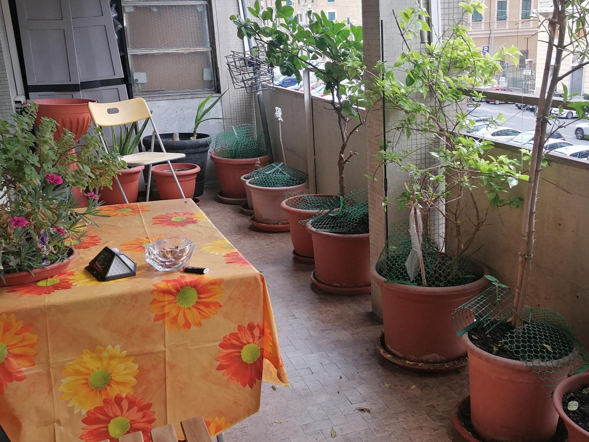 热那亚Celine住宿加早餐旅馆 外观 照片